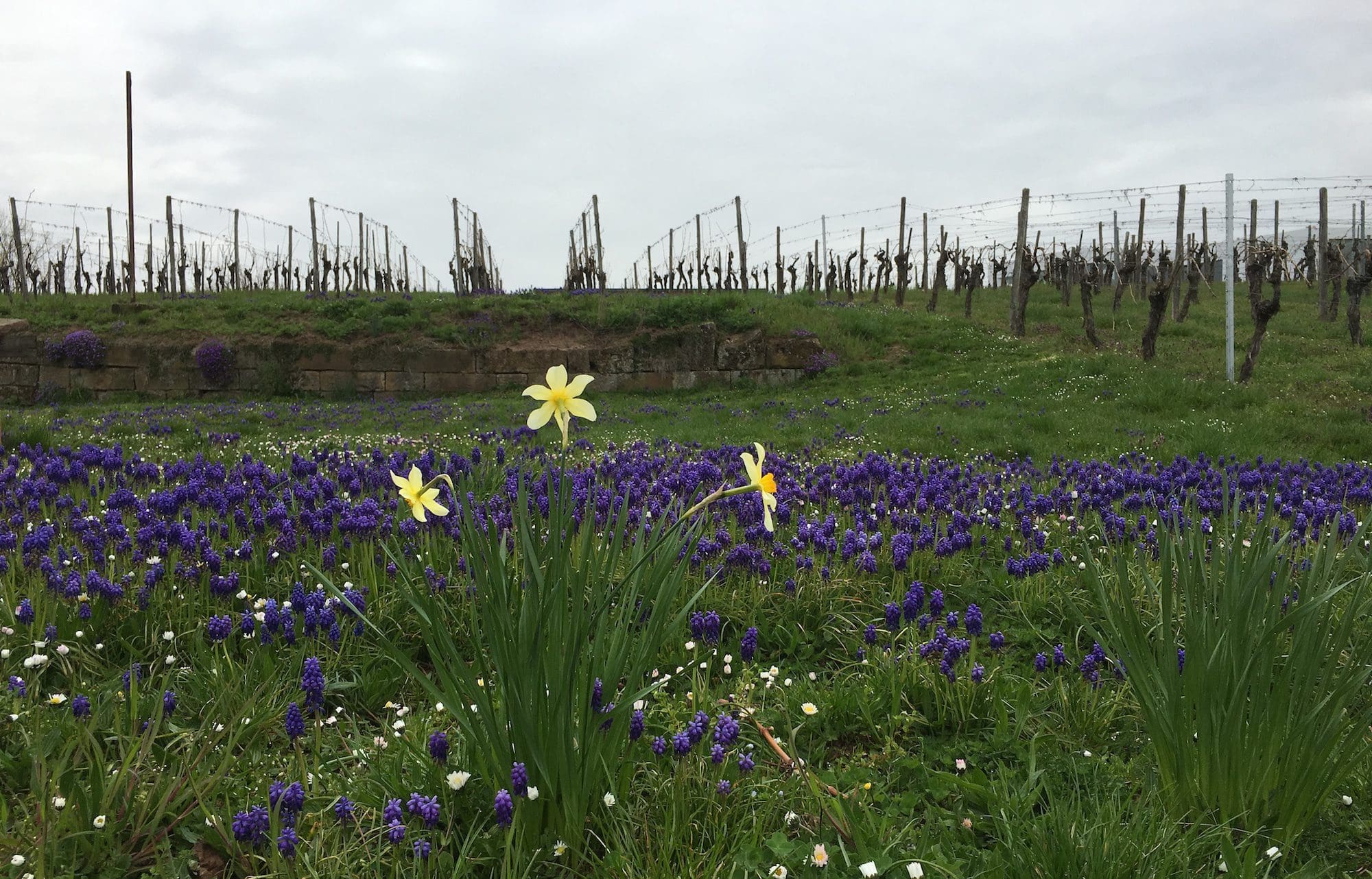 Osterspaziergang