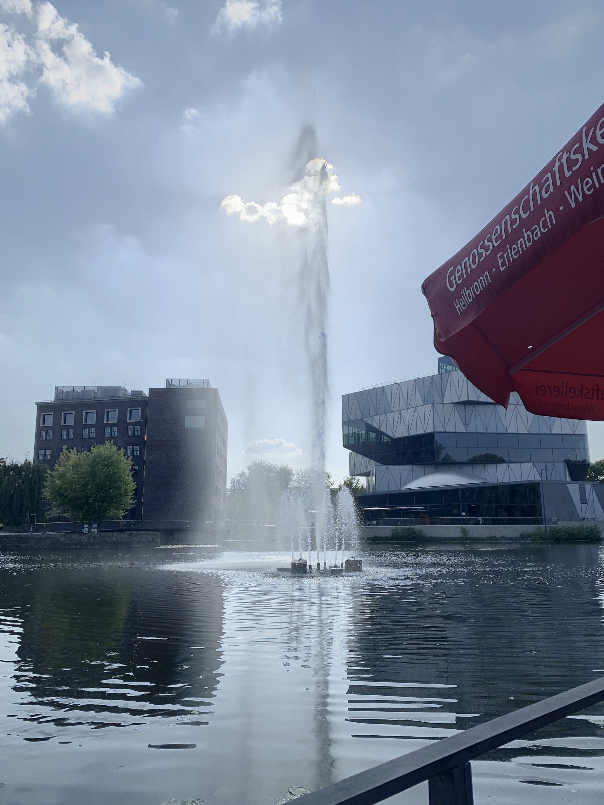 Wasserspiel im Neckar