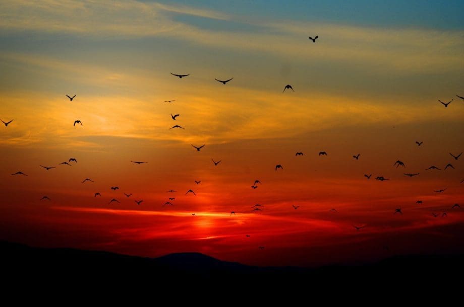 Sonnenuntergang