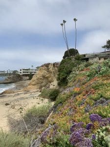Laguna Beach