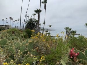 Laguna Beach