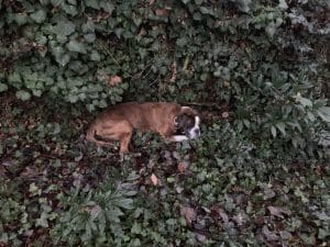 Letzte Tage 2019