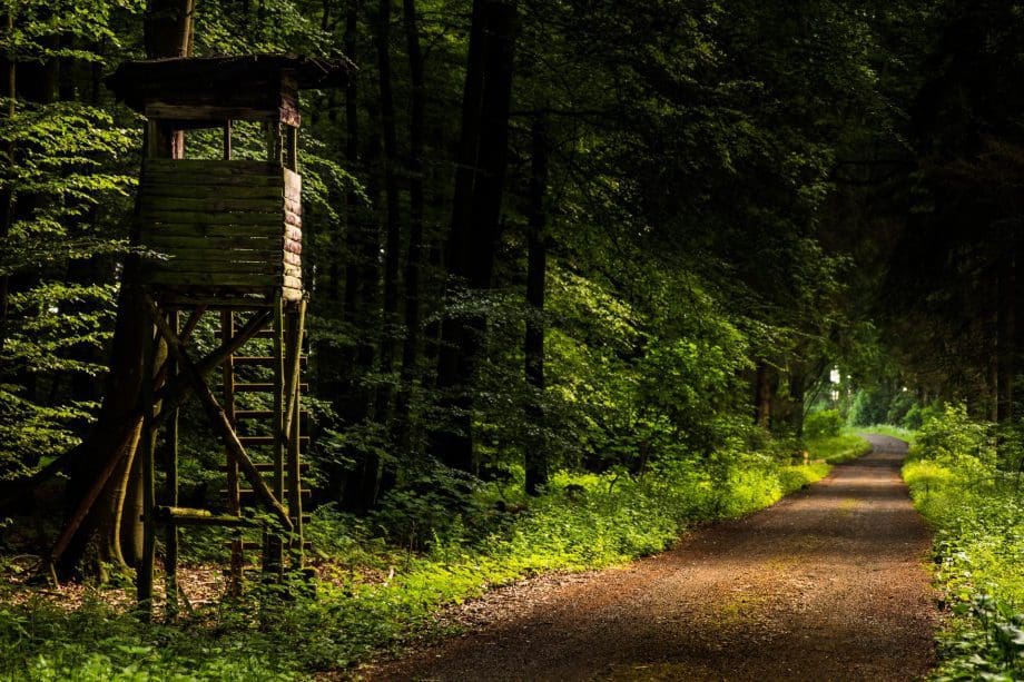 Westerwald