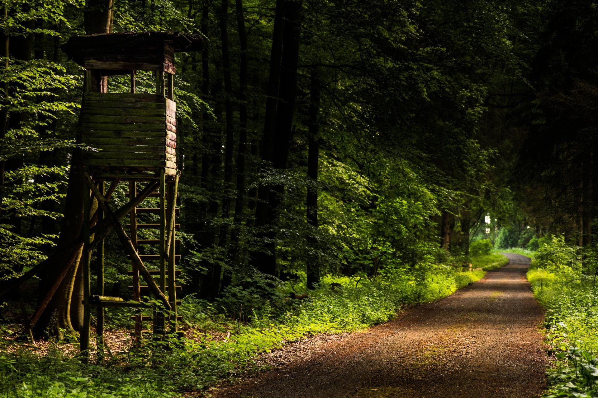 Westerwaldlied