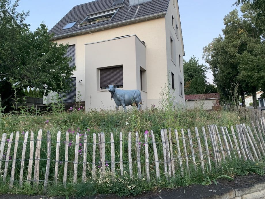 Glückliche Kuh