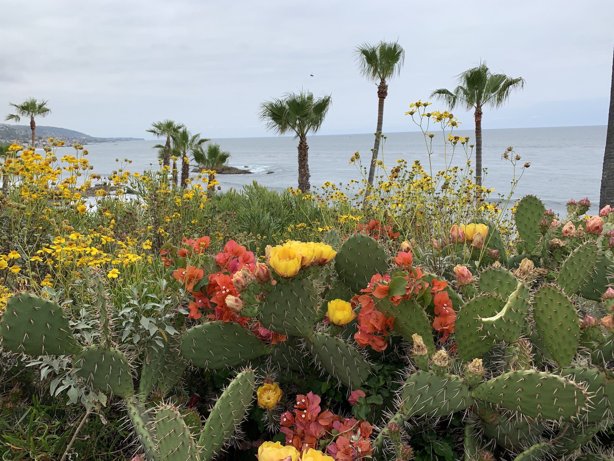 Laguna Beach