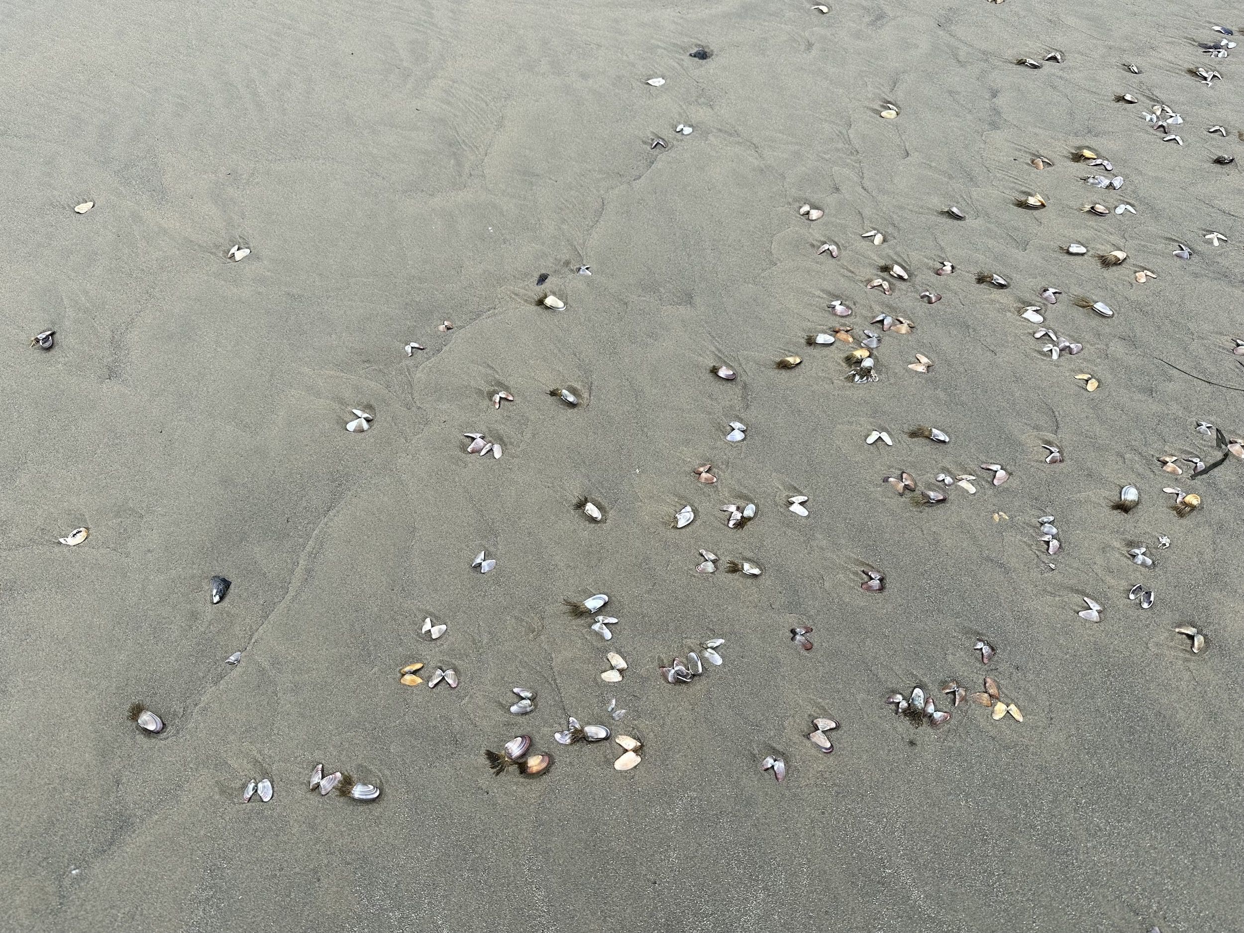 Strandgedanken