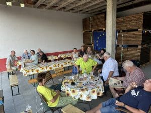 Europa-Grillen