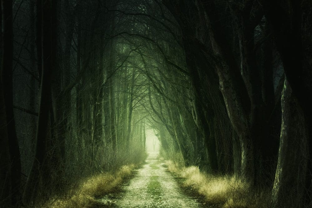Wald