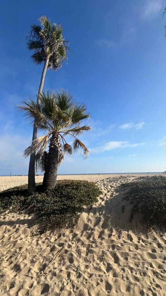 © Maximilian Kümmerle Newport Beach