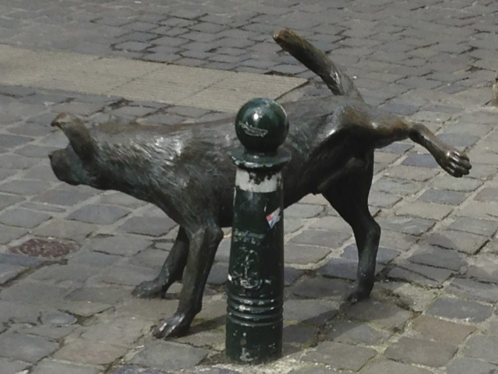 Pinkelnder Hund